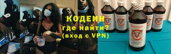шишки Верея
