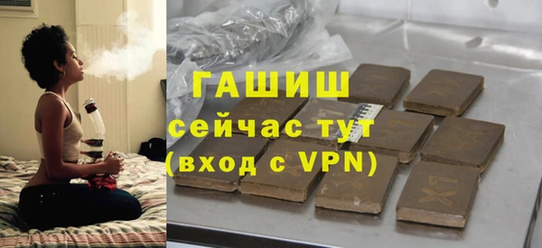 шишки Верея
