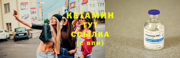 шишки Верея