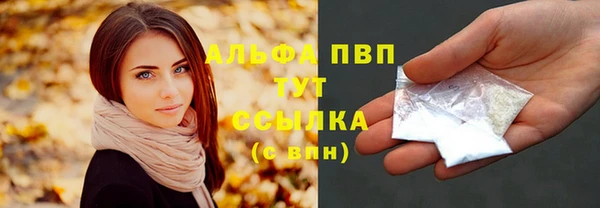 шишки Верея