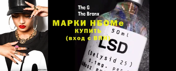 шишки Верея