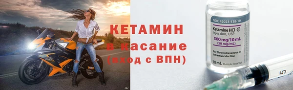 шишки Верея