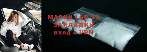 шишки Верея
