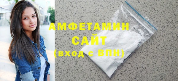 шишки Верея