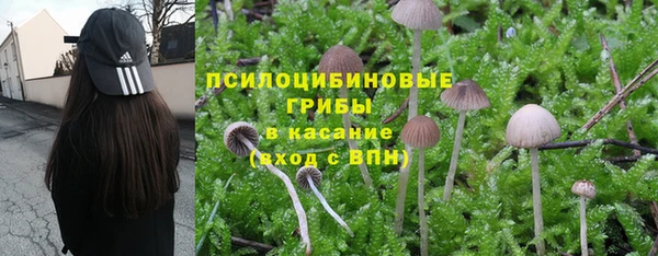 твердый Верхний Тагил