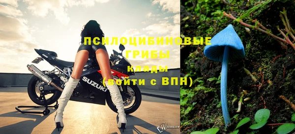 твердый Верхний Тагил
