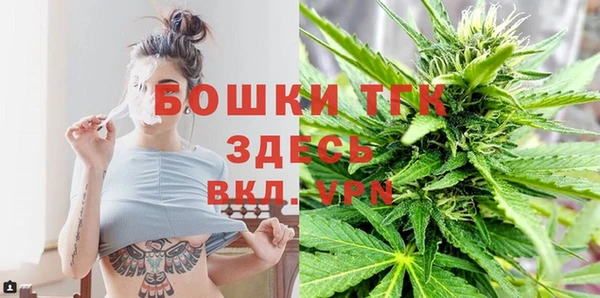 твердый Верхний Тагил