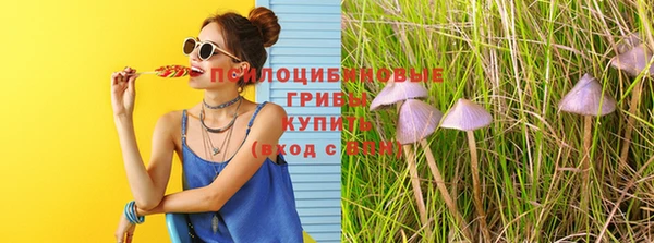 таблы Фёдоровский