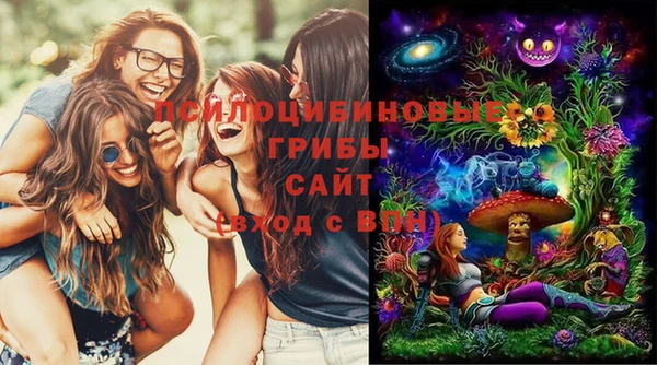 шишки Верея