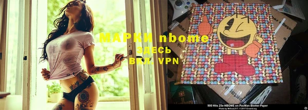 шишки Верея