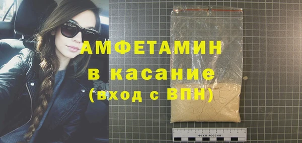 шишки Верея