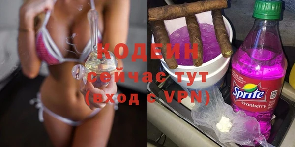 шишки Верея