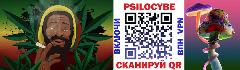 Купить где  Берёзовский  Галлюциногенные грибы Psilocybe 